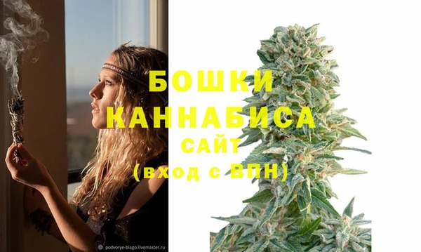 СК Бородино