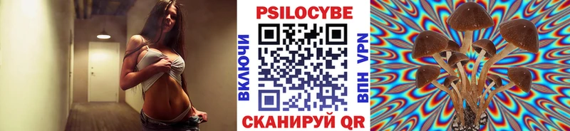 Галлюциногенные грибы прущие грибы  OMG маркетплейс  Калининград  где найти  