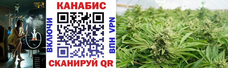 Бошки марихуана SATIVA & INDICA  сколько стоит  Калининград 